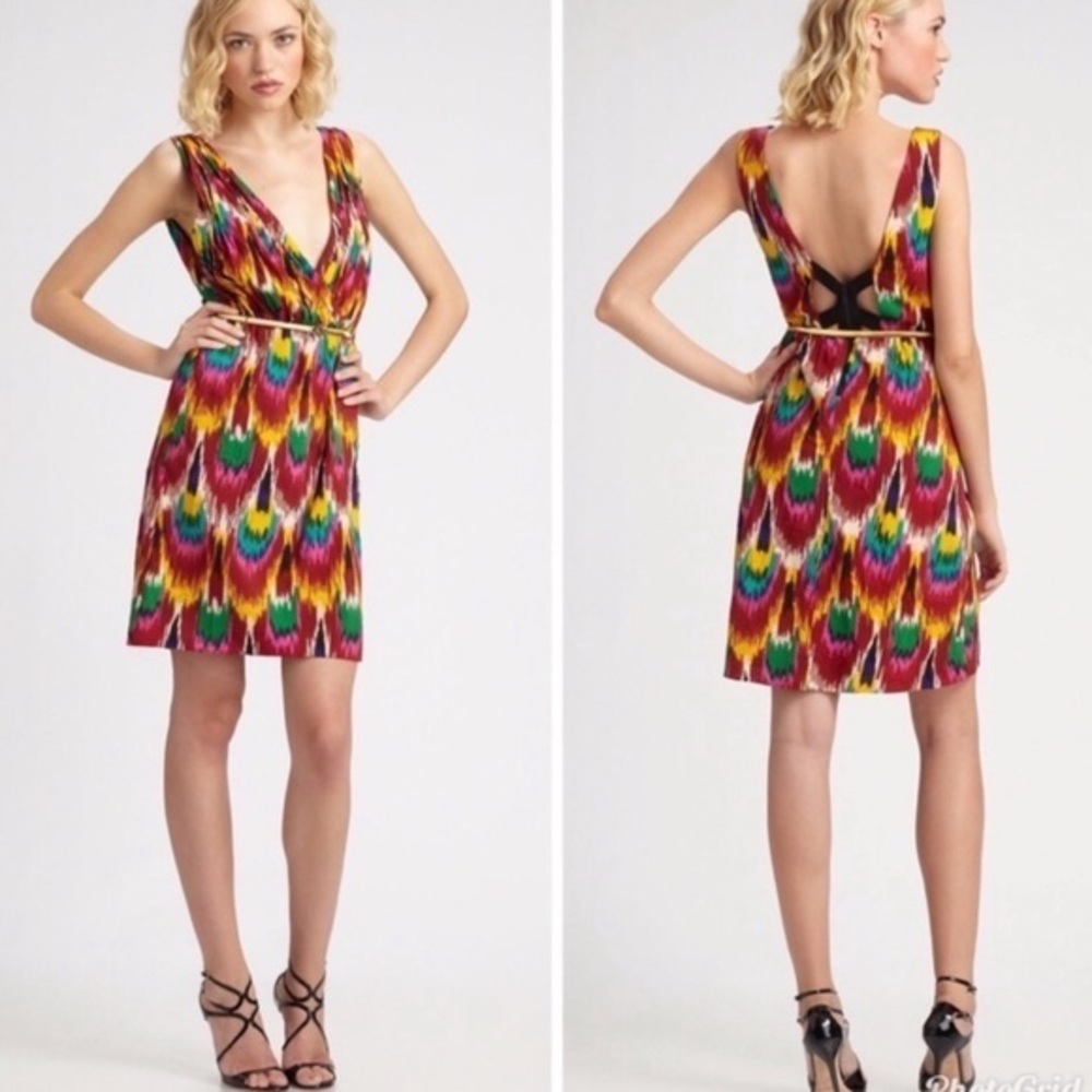 Alice + Olivia Alameda Ikat Print Pleated Mini Dress
